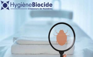 Hygien Biocide, Chasse anti-nuisible à Marseille