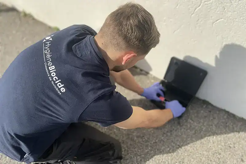 deratisateur marseille