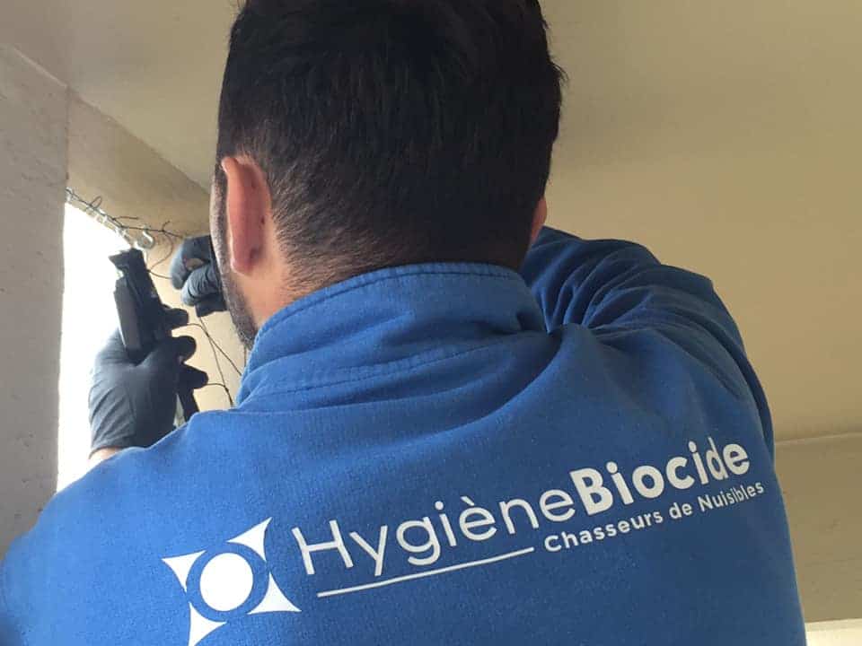 Dépigeonnisation à Marseille 2 Technicien Hygiène Biocide installant des pics anti pigeons dans un immeuble de Marseille