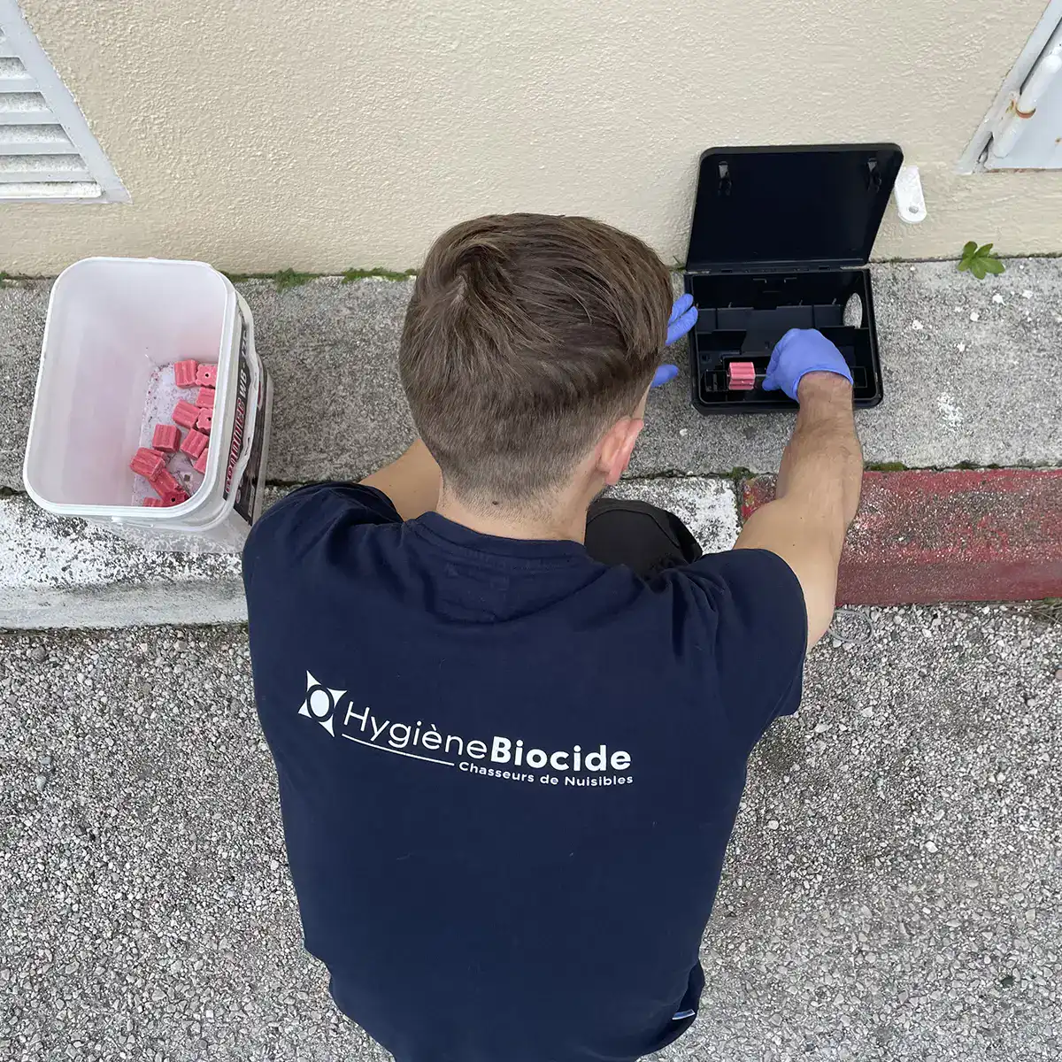 Traitement des nuisibles pour le secteur médical 9 Pose de poste d'appâtage par un technicien Hygiène Biocide