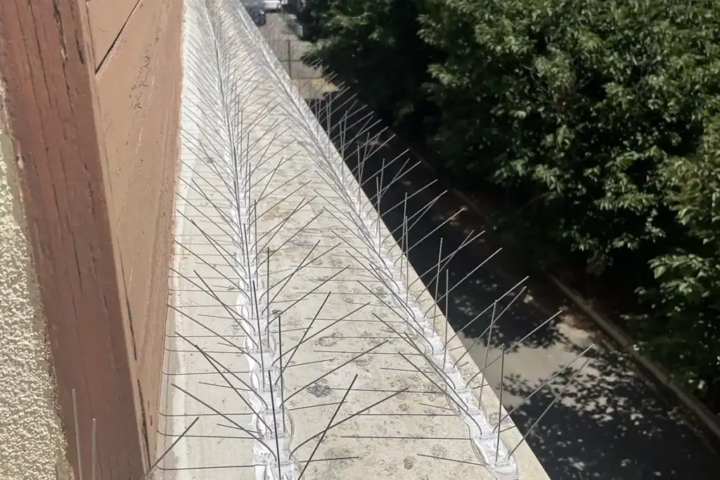 Dépigeonnage de façade : protéger votre bâtiment des dégâts causés par les pigeons 1 Pics anti Pigeons