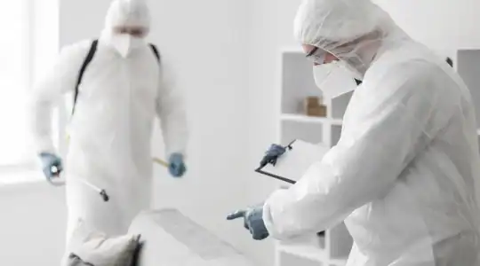 traitement punaises de lit