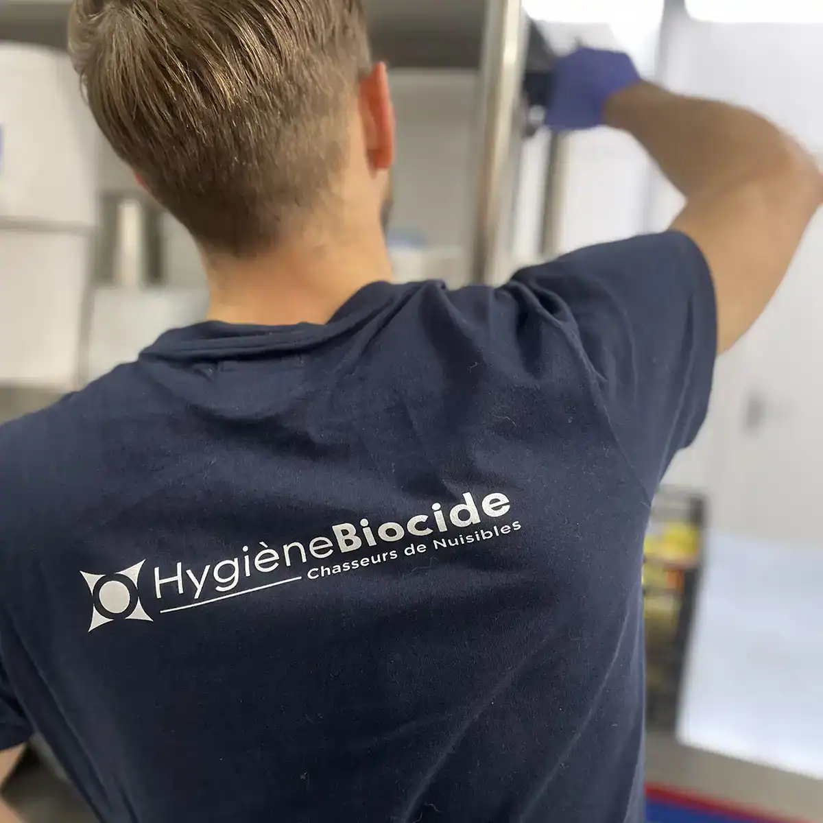 Traitement anti-nuisibles pour les restaurants et cafés 7 Technicien Hygiène Biocide posant un gel anti insecticide dans une cuisine d'un restaurant à Marseille