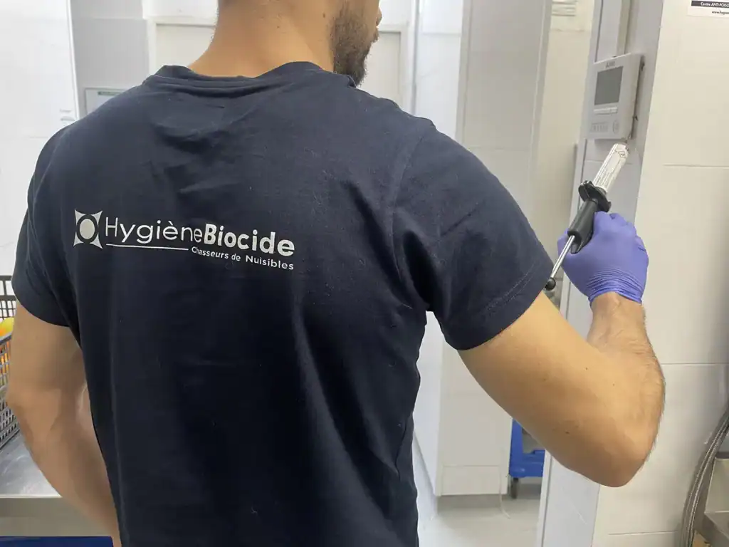 Élimination des cafards et blattes à Istres 4 Pose de gel insecticide par un technicien Hygiène Biocide