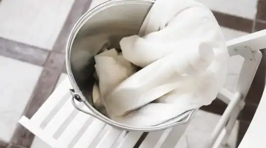 Traitement punaises de lit : comment préparer son logement pour une intervention efficace ? 1 Préparer son logement avant traitement des punaises de lit