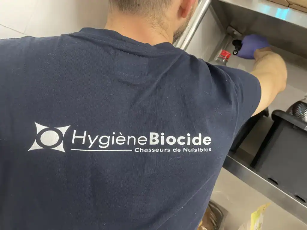 Traitement professionnel des cafards et blattes à Marignane 4 Pose de gel insecticide par un technicien Hygiène Biocide