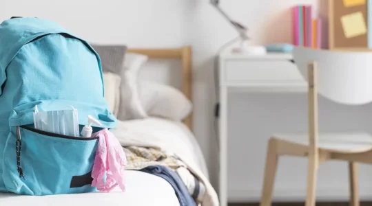 Punaises de lit en résidence étudiante à Marseille : que faire ? 1 residence etudiante