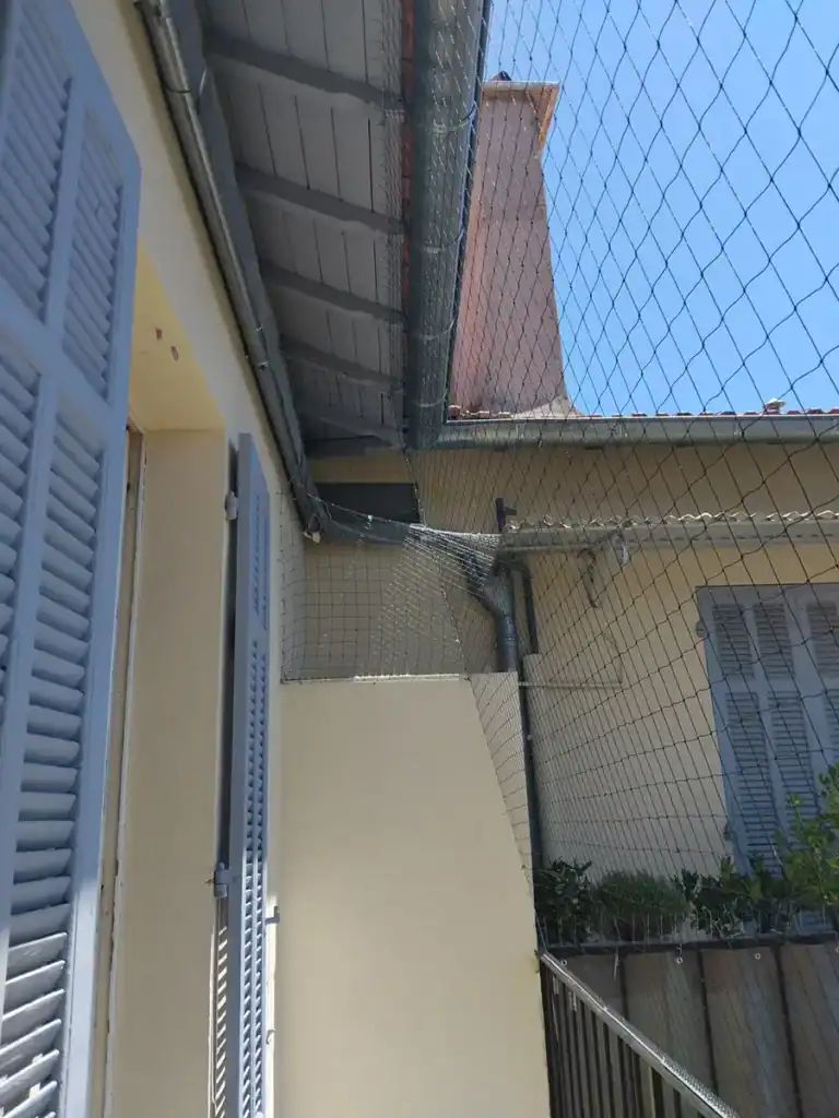 Dépigeonnage à Marseille 5 Filets anti-pigeons posés dans un appartement marseillais