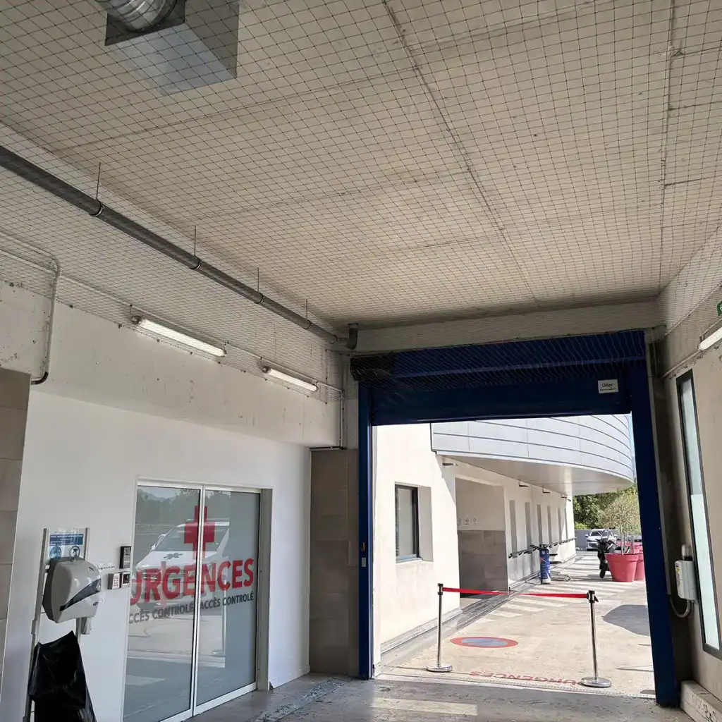 Dépigeonnage à Marseille 7 Pose de filet anti-pigeons dans une clinique à Marseille