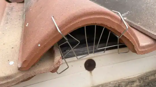 Protection de toiture contre les pigeons