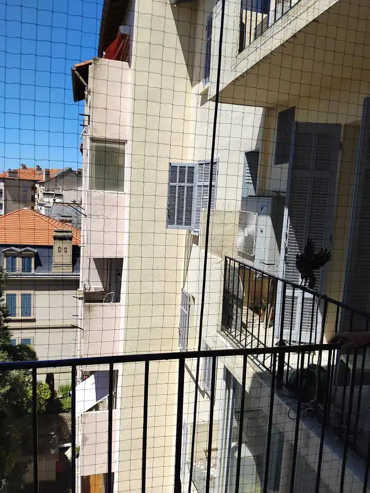 Dépigeonnage aux Pennes-Mirabeau : de Plan de Campagne aux quartiers résidentiels 5 Filet anti-pigeons tendu sur un balcon