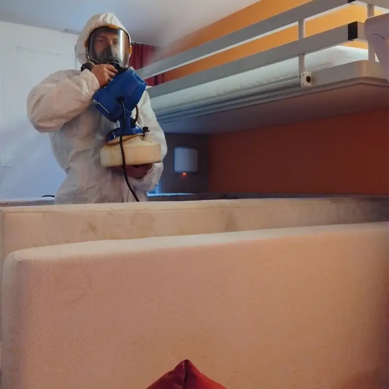 Entreprise de désinsectisation à Aix-en-Provence 6 Intervention dans un hôtels pour traiter les punaises de lit